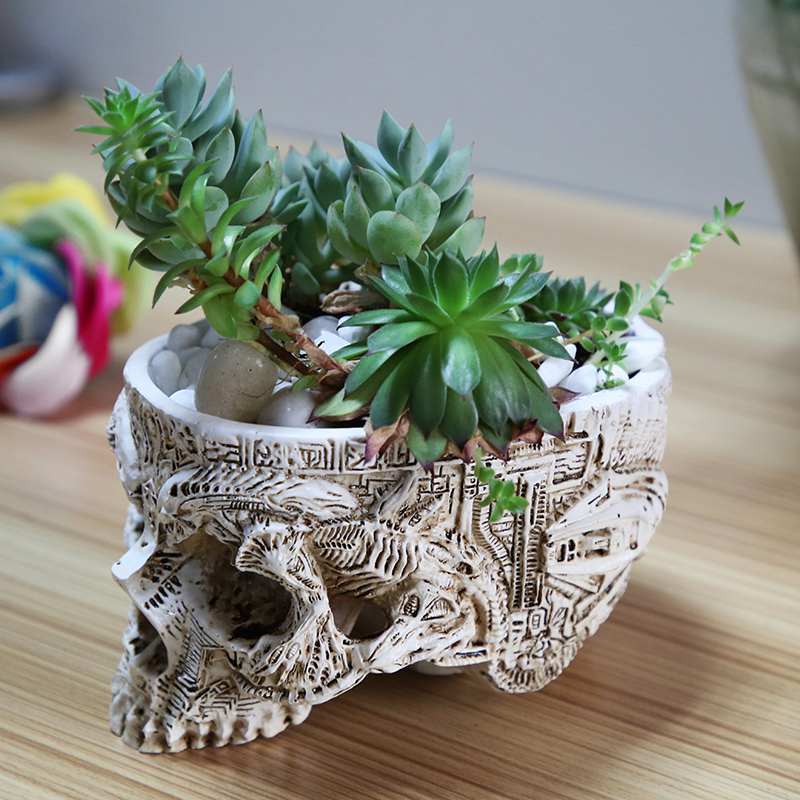 Potted Planting with Skull Head