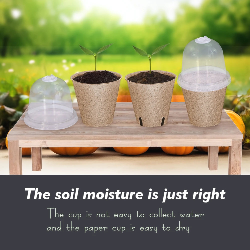 Biodegradable Paper Plant Nursery Cup for Greenhouse Agriculture Garden Seed Germination Starter Herbs Transplant Seedling Pot