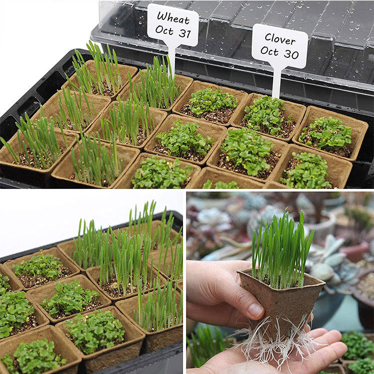 Plastic Growth Seed Plug Tray