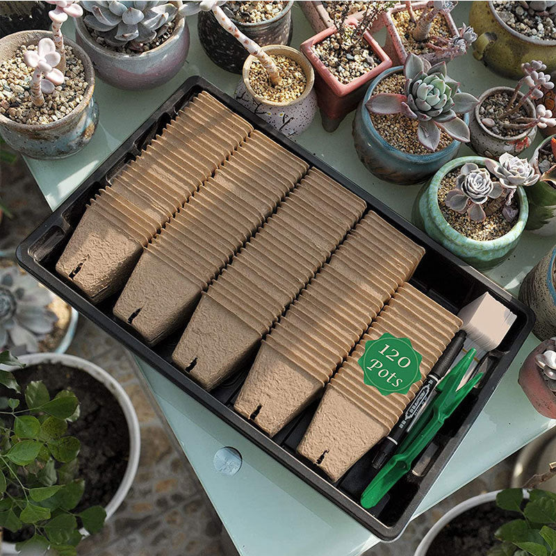 Plastic Growth Seed Plug Tray