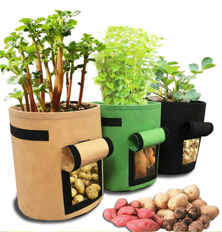 Planting bag Potato