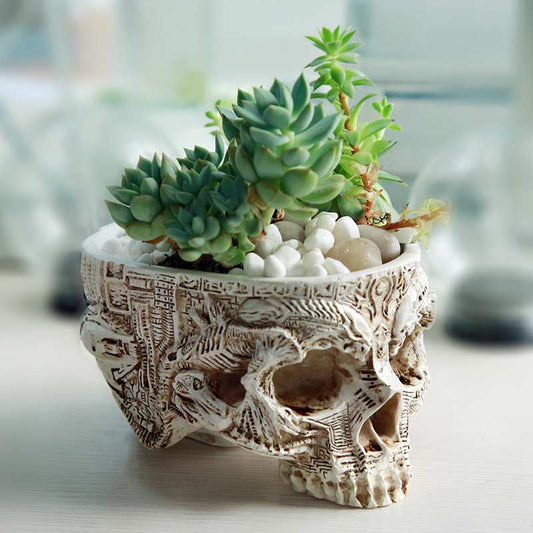 Potted Planting with Skull Head