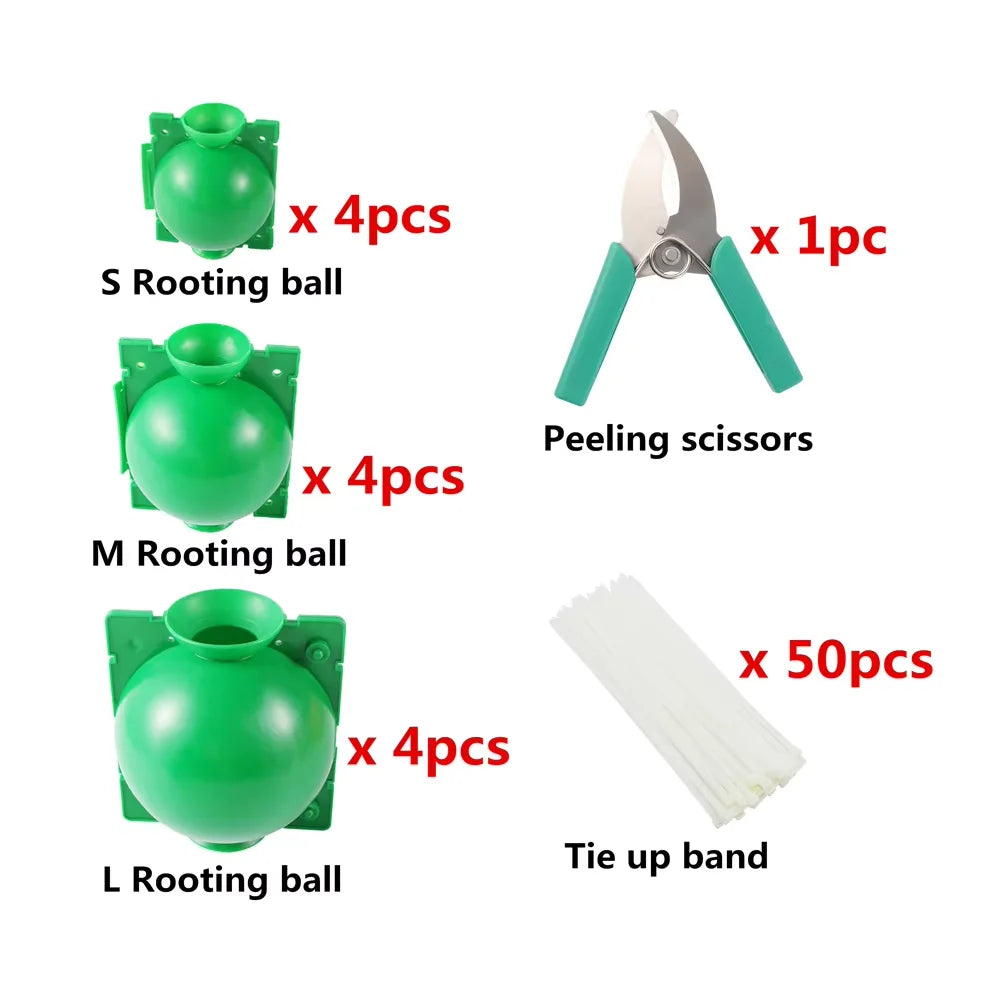 Plant Rooting Box Kit Rooting Propagation Ball Grafting Breeding Cuttings Sapling Nursery Supplies Garden Orchard Gardening Tool