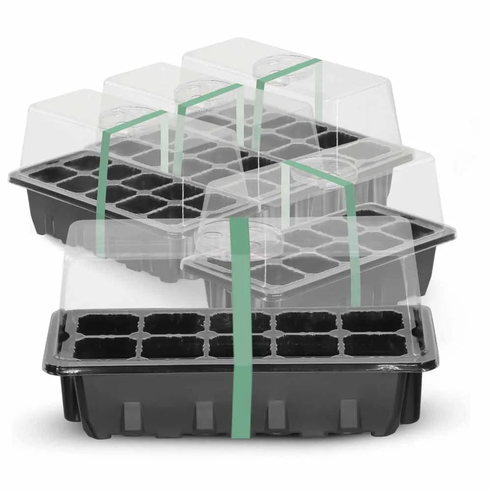 10 Cells Sill Nursery Seedling Trays Adjustable Humidity Germination Box Transparent Cover Indoor Garden Greenhouse Growth Pots