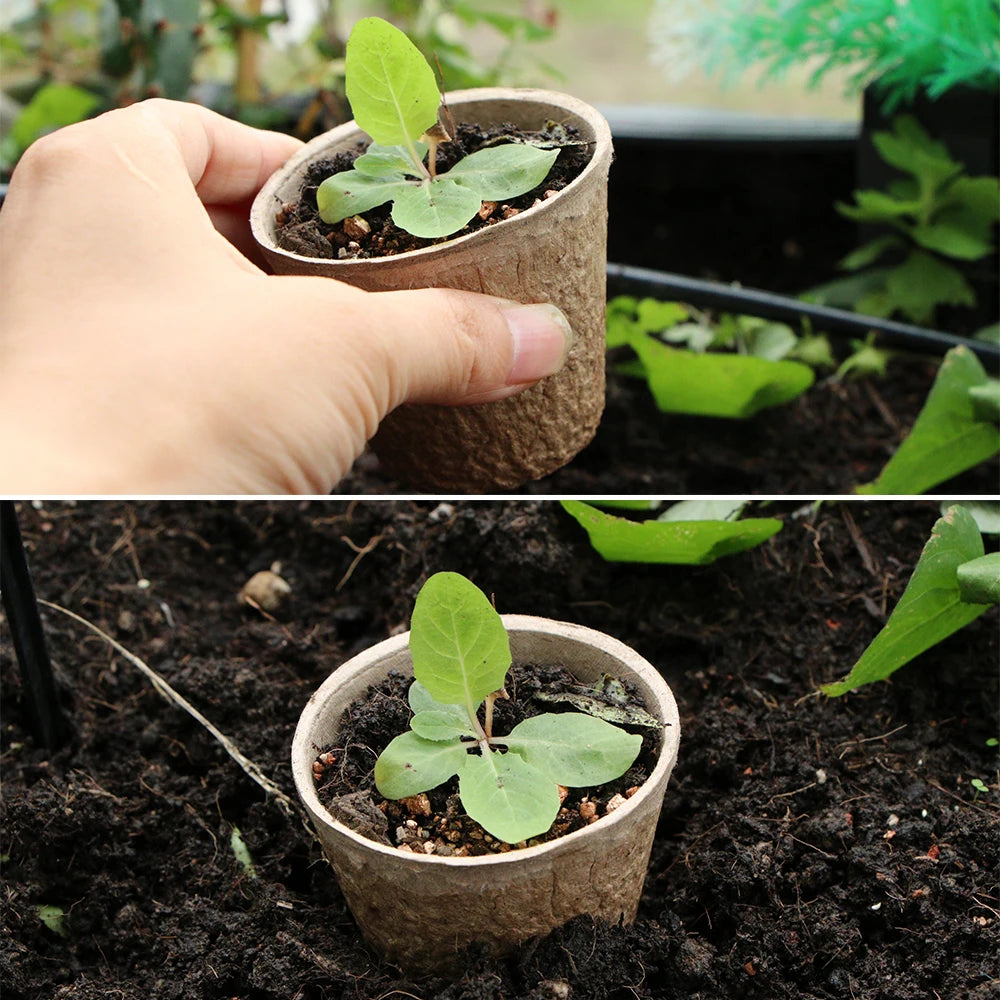 Biodegradable Paper Plant Nursery Cup for Greenhouse Agriculture Garden Seed Germination Starter Herbs Transplant Seedling Pot