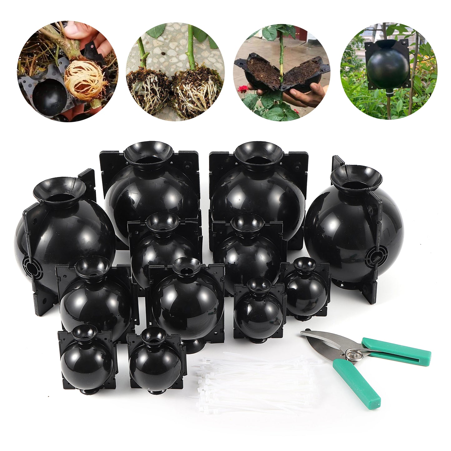 Plant Rooting Box Kit Rooting Propagation Ball Grafting Breeding Cuttings Sapling Nursery Supplies Garden Orchard Gardening Tool