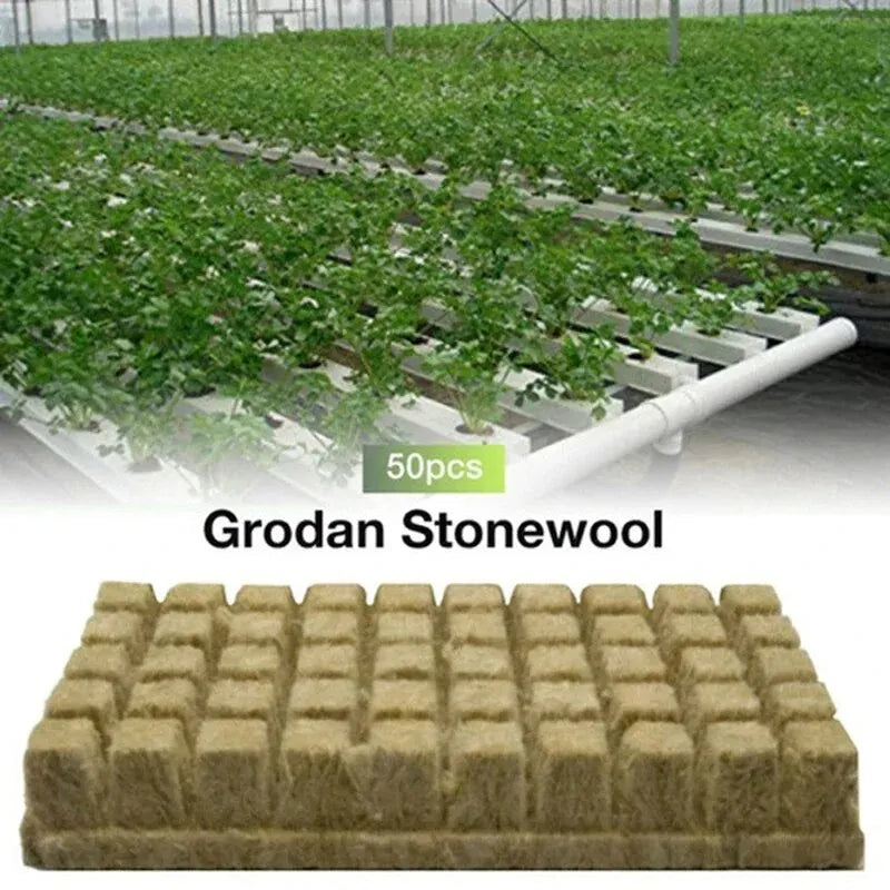 50pcs 25x25x25mm Stonewool Hydroponic Grow Media Cubes Plant Cubes Soilless Substrate Seeded Rock Wool Plug Seedling Block