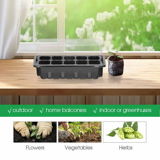 10 Cells Sill Nursery Seedling Trays Adjustable Humidity Germination Box Transparent Cover Indoor Garden Greenhouse Growth Pots